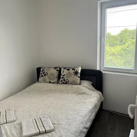 Prenociste H2o 패레신